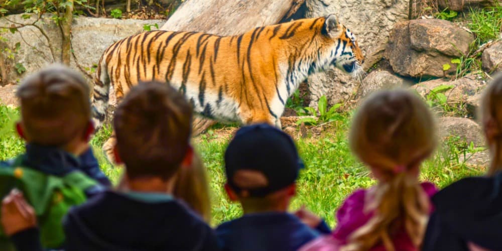 Tiergarten Straubing