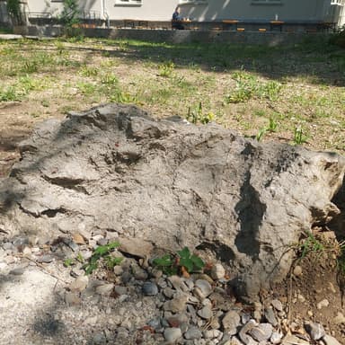 Das Alpenvorland und die nördlichen Kalkalpen