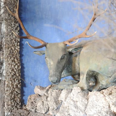 Grotte des Hirsches und Eishöhle