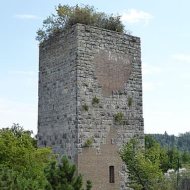 Burgruine Niederviehhausen