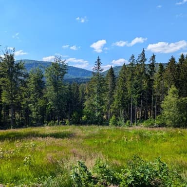 Ein uraltes Gebirge – der Bayerische Wald
